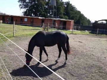 venta  Permuta casa campo caballerizas