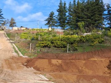 HERMOSO TERRENO EN CONDOMINIO, SECTOR LOS PINOS, MONJAS FRAN