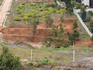 HERMOSO TERRENO EN CONDOMINIO, SECTOR LOS PINOS, MONJAS FRAN