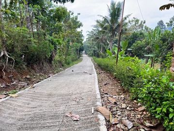 Tanah Kebun Durian 1000m2 Mojogedang Karanganyar