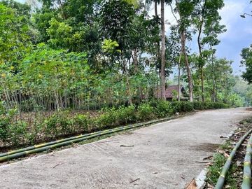 Tanah Kebun Durian 1000m2 Mojogedang Karanganyar