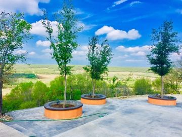 Quinta en Venta en Montemorelos