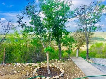Quinta en Venta en Montemorelos