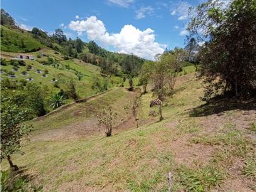 Venta de Finca Independiente San Vicente