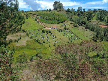 Venta de Finca Independiente San Vicente