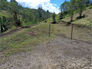 Venta de Finca Independiente San Vicente