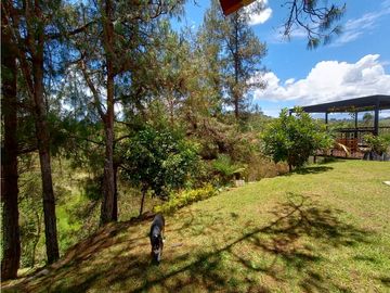 Venta de Finca Independiente San Vicente