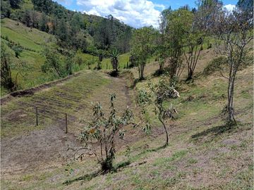 Venta de Finca Independiente San Vicente