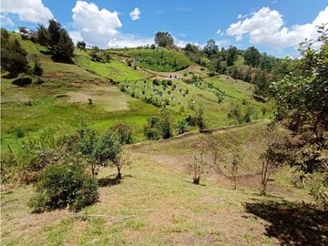 Venta de Finca Independiente San Vicente