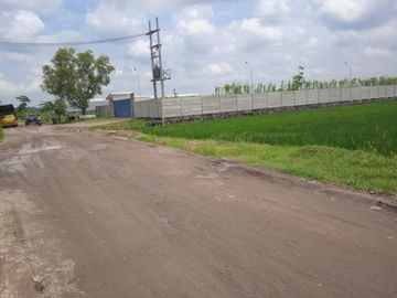 DIJUAL MURAH TANAH INDUSTRI WRINGINANOM GRESIK