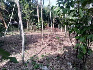 Tanah Kapling Magelang; Pesona Tegalrejo 900 rb-an /m2