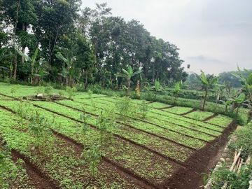 Tanah Kavling Perumahan Cilame Indah Tanpa Bunga