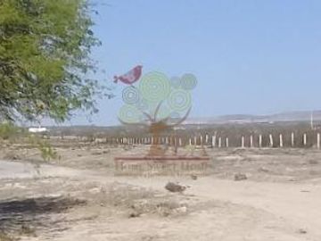 COMPRA TERRENO A PIE DE CARRETERA MATEHUALA SLP