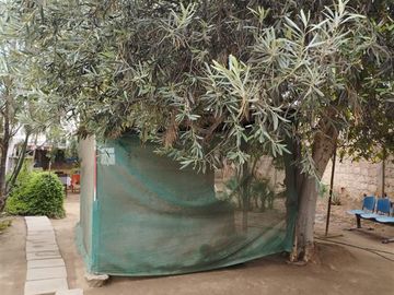 Terreno en Venta en CENTENARIO, COPIAPÓ, REGIÓN DE ATACAMA