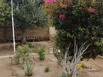 Terreno en Venta en CENTENARIO, COPIAPÓ, REGIÓN DE ATACAMA