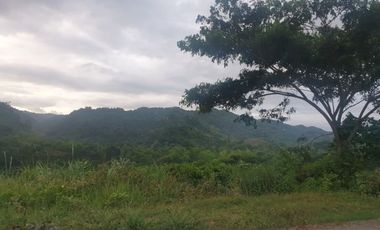 Overlooking 216 Sqm Lot for Sale in Greenwoods near Talamban Cebu City with Mountain View