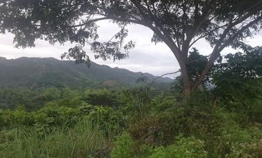 Overlooking 216 Sqm Lot for Sale in Greenwoods near Talamban Cebu City with Mountain View