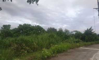 Overlooking 216 Sqm Lot for Sale in Greenwoods near Talamban Cebu City with Mountain View