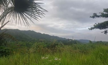 Overlooking 216 Sqm Lot for Sale in Greenwoods near Talamban Cebu City with Mountain View