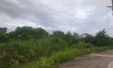 Overlooking 216 Sqm Lot for Sale in Greenwoods near Talamban Cebu City with Mountain View