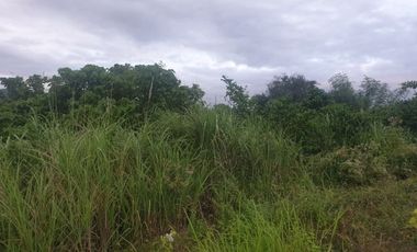 Overlooking 216 Sqm Lot for Sale in Greenwoods near Talamban Cebu City with Mountain View