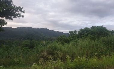 Overlooking 216 Sqm Lot for Sale in Greenwoods near Talamban Cebu City with Mountain View