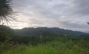 Overlooking 216 Sqm Lot for Sale in Greenwoods near Talamban Cebu City with Mountain View