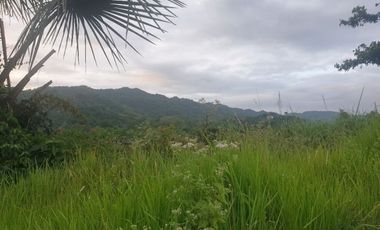 Overlooking 216 Sqm Lot for Sale in Greenwoods near Talamban Cebu City with Mountain View