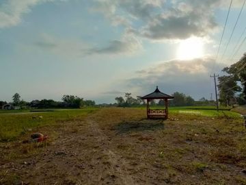 Dijual Rumah Murah Ekslusif Murah Pesan Bangun Di Mojayan