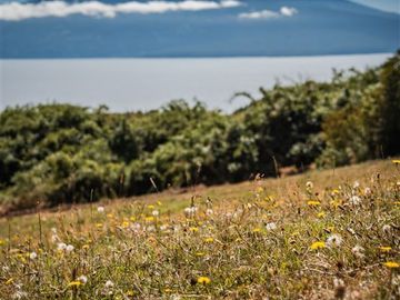 Parcela en Venta en Camino a Ensenada KM 32