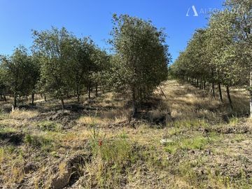 Sitio en Venta en Ruta k-530