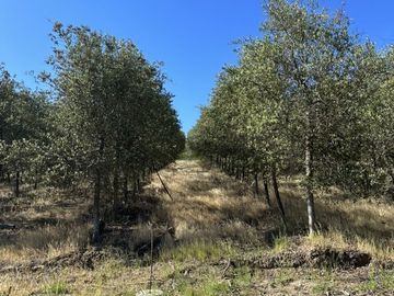 Sitio en Venta en Ruta k-530