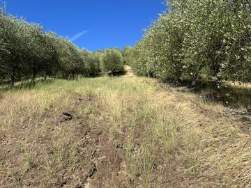Sitio en Venta en Ruta k-530