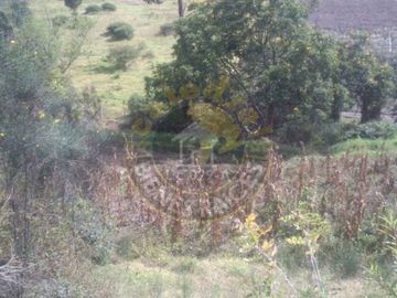 Quinta Hacienda de venta en Carmen de Gualaceo – código:12155