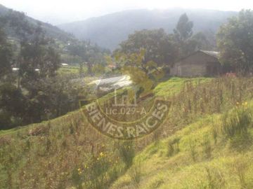 Quinta Hacienda de venta en Carmen de Gualaceo – código:12155