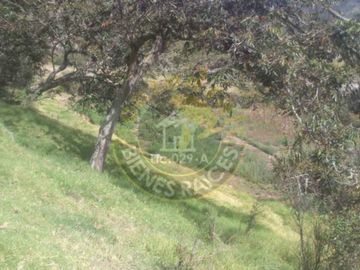 Quinta Hacienda de venta en Carmen de Gualaceo – código:12155
