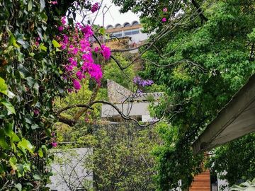 Paseo de los Ahuehuetes, Bosques de las Lomas | casa | venta