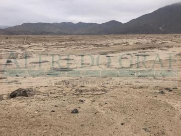 Terrenos Rusticos Venta VINZOS    - CHIMBOTE