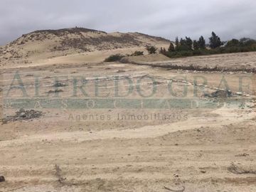 Terrenos Rusticos Venta VINZOS    - CHIMBOTE