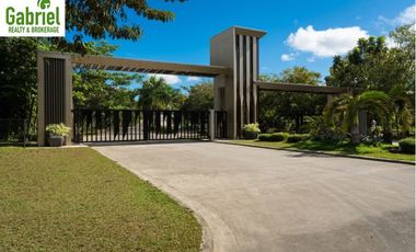 Subdivision Lot only for sale in Vera Estates Mandaue