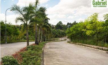 Subdivision Lot only for sale in Vera Estates Mandaue