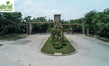 Subdivision Lot only for sale in Vera Estates Mandaue