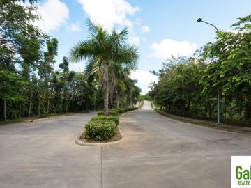 Subdivision Lot only for sale in Vera Estates Mandaue