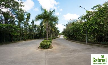 Subdivision Lot only for sale in Vera Estates Mandaue