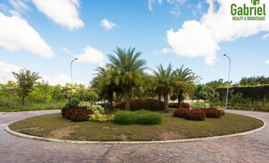 Subdivision Lot only for sale in Vera Estates Mandaue