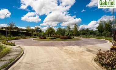 Subdivision Lot only for sale in Vera Estates Mandaue