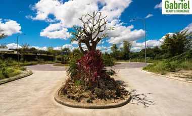 Subdivision Lot only for sale in Vera Estates Mandaue