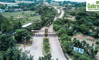 Subdivision Lot only for sale in Vera Estates Mandaue