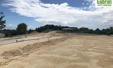 Subdivision Lot only for sale in Vera Estates Mandaue