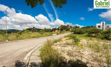 Subdivision Lot only for sale in Vera Estates Mandaue